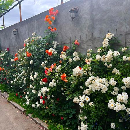 Hillside Guest House Yerevan Exterior foto