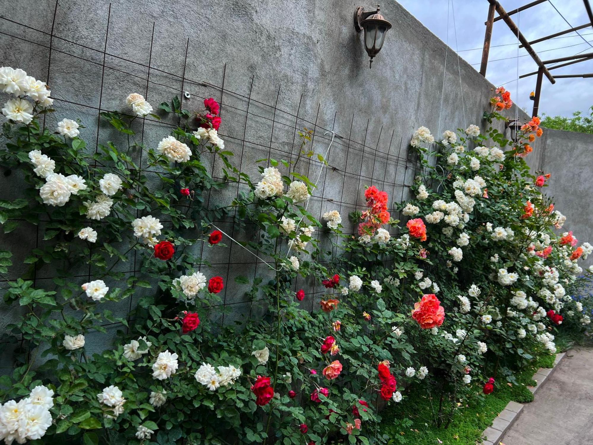 Hillside Guest House Yerevan Exterior foto